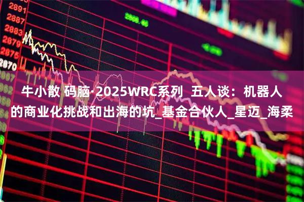 牛小散 码脑·2025WRC系列  五人谈：机器人的商业化挑战和出海的坑_基金合伙人_星迈_海柔