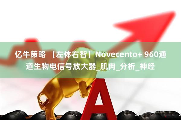 亿牛策略 【左体右智】Novecento+ 960通道生物电信号放大器_肌肉_分析_神经