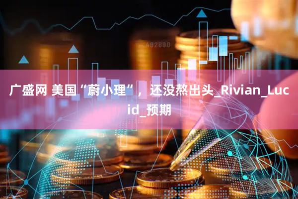 广盛网 美国“蔚小理”，还没熬出头_Rivian_Lucid_预期