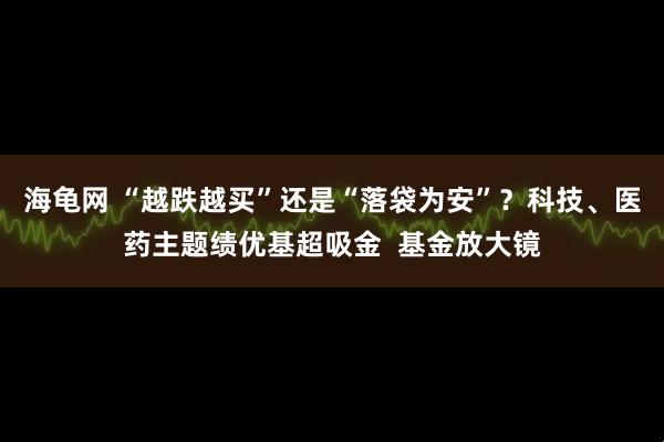 海龟网 “越跌越买”还是“落袋为安”？科技、医药主题绩优基超吸金  基金放大镜