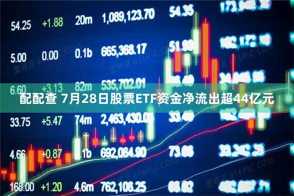 配配查 7月28日股票ETF资金净流出超44亿元