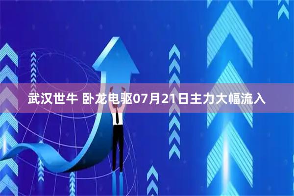 武汉世牛 卧龙电驱07月21日主力大幅流入