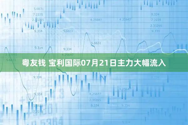 粤友钱 宝利国际07月21日主力大幅流入