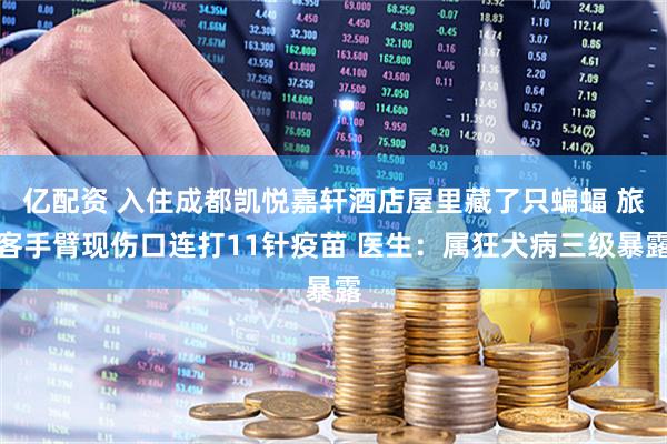 亿配资 入住成都凯悦嘉轩酒店屋里藏了只蝙蝠 旅客手臂现伤口连打11针疫苗 医生：属狂犬病三级暴露
