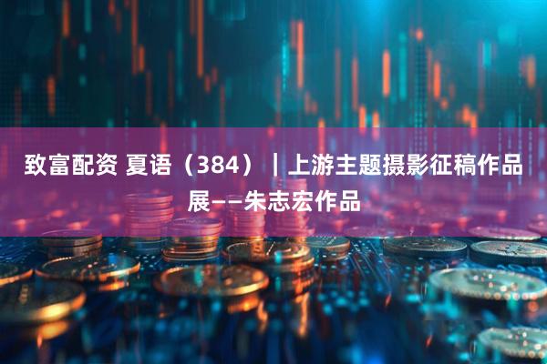 致富配资 夏语（384）｜上游主题摄影征稿作品展——朱志宏作品