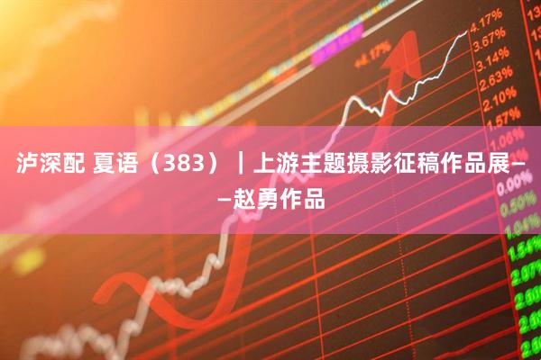 泸深配 夏语（383）｜上游主题摄影征稿作品展——赵勇作品
